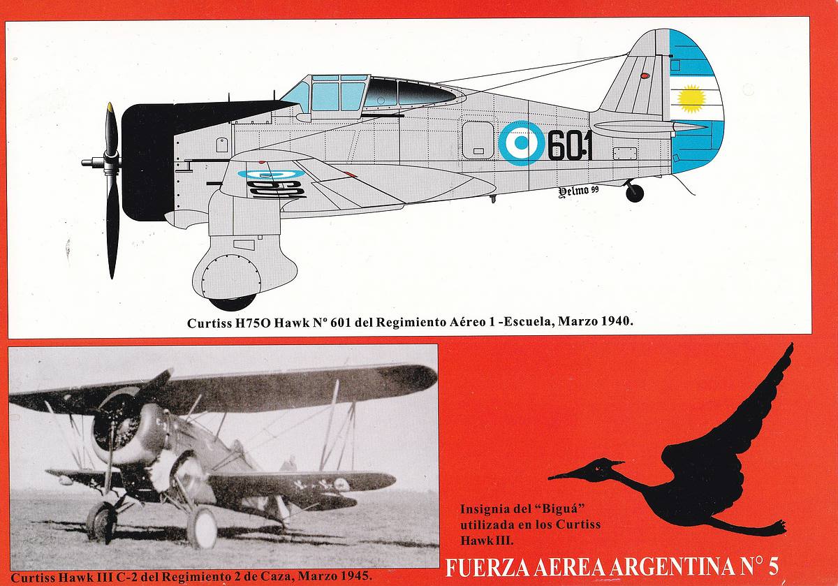 Curtiss-Hawk-Fuerza-Aerea-Argentina-No.-5-2 Curtiss Hawk Fuerza Aerea Argentina No. 5