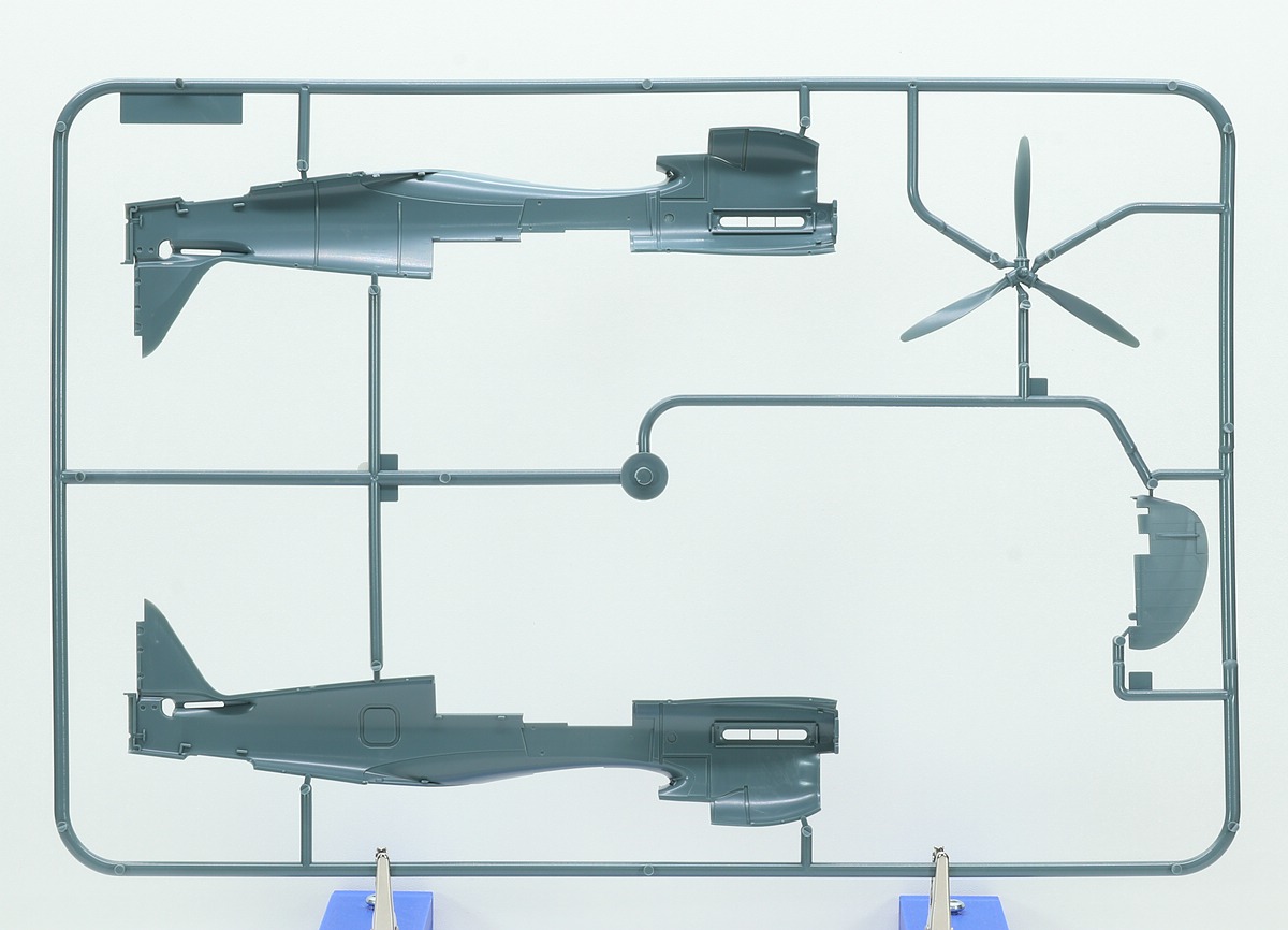 Eduard-R-0025-P-40-N-Royal-Class-25 P-40 Warhawk Royal Class in 1:48 von Eduard # R 0025